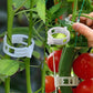 Clips de Plástico para Soporte de Plantas