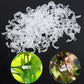 Clips de Plástico para Soporte de Plantas