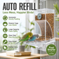 🎉Oferta por tiempo limitado: 50 % de descuento 🐦Comedero automático para pájaros (sin ensuciar)