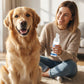 ⏰🔥 ¡50% DE DESCUENTO POR TIEMPO LIMITADO! 🐶 Espuma Limpiadora Dental para Mascotas – Adiós al Sarro y Mal Aliento ✨