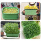 ¡Oferta flash: 50% de descuento! ¡Más compras, más ahorros! Caja apilable para el cultivo de judías germinadas - Diseño multicapa, perfecto para el cultivo en casa, ¡vida verde y saludable!