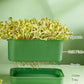 ¡Oferta flash: 50% de descuento! ¡Más compras, más ahorros! Caja apilable para el cultivo de judías germinadas - Diseño multicapa, perfecto para el cultivo en casa, ¡vida verde y saludable!