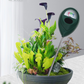 Medidor Profesional de Humedad del Suelo para Plantas de Interior y Exterior