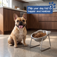 🥣✨ Tazón Ortopédico Inclinado 15° para Mascotas – Comida al Alcance sin Esfuerzo, Reduce Atragantamientos y Ayuda a Comer Solos a Perros y Gatos Mayores y con Movilidad Reducida 🐶🐱