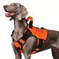 🐶 Gilet Tattico per Cani in Tessuto Oxford | Antiacqua e Rinforzato 🛡️ | Maniglia di Sollevamento Rapida ✋ | Ergonomico e Comodo 🐾 | Taglie S–XL, 5 Colori 🎨