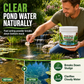 🐟 50% dto. Clarificador en polvo para estanques – acción bacteriana natural que elimina lodos y devuelve la claridad al agua. ¡Fácil en 3 pasos! ✨💧