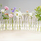 🎉 ¡Hasta -50%! Jarrones de Flores Plegables (6 u 8 pcs) — Oferta Limitada ⏰🔥